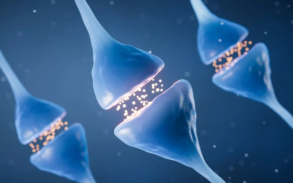 Understanding D2 and D3 Receptors Video